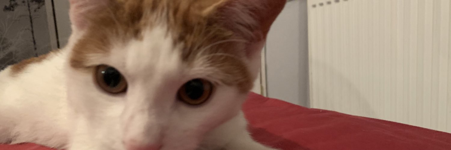 _rachlw's profile banner image