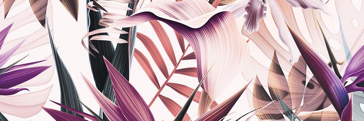hanmacdonaldd's profile banner image