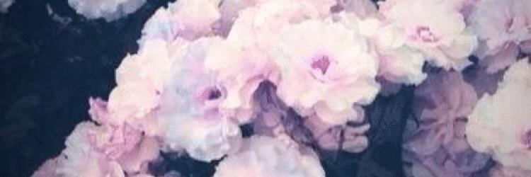 Mromron17's profile banner image