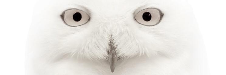 lompud's profile banner image