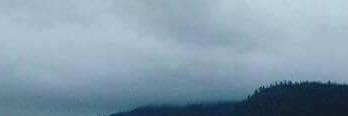 sh0rh's profile banner image