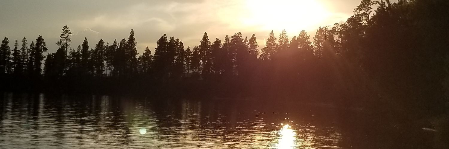 pon_59's profile banner image
