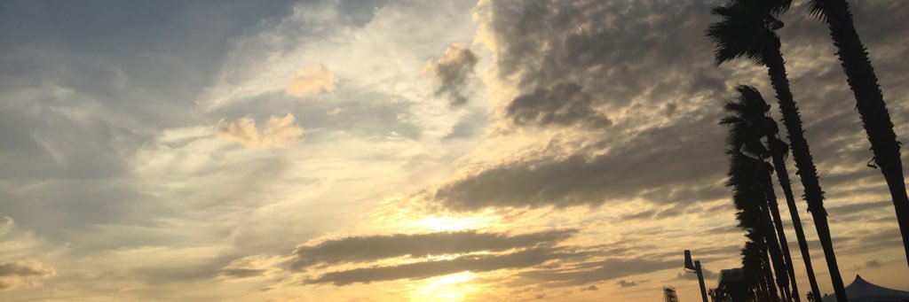 Rii banner