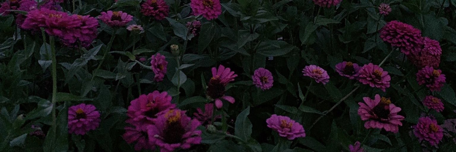 G_yddaM's profile banner image
