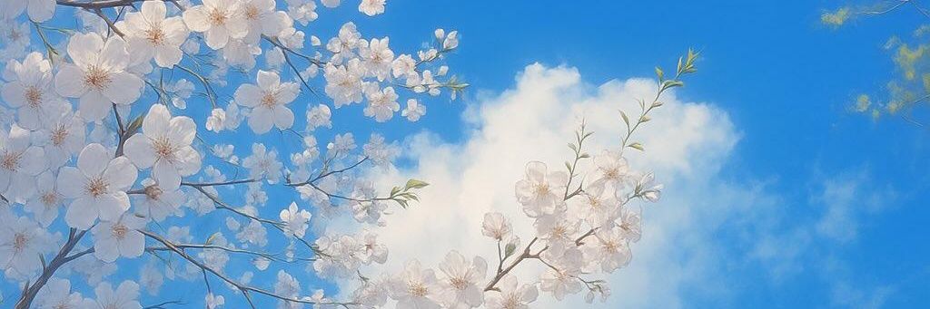 shescoded's profile banner image