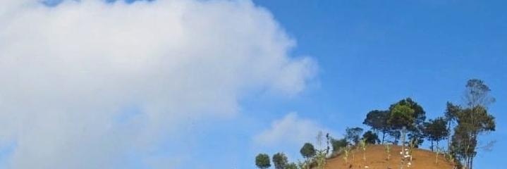 jamzdguava's profile banner image