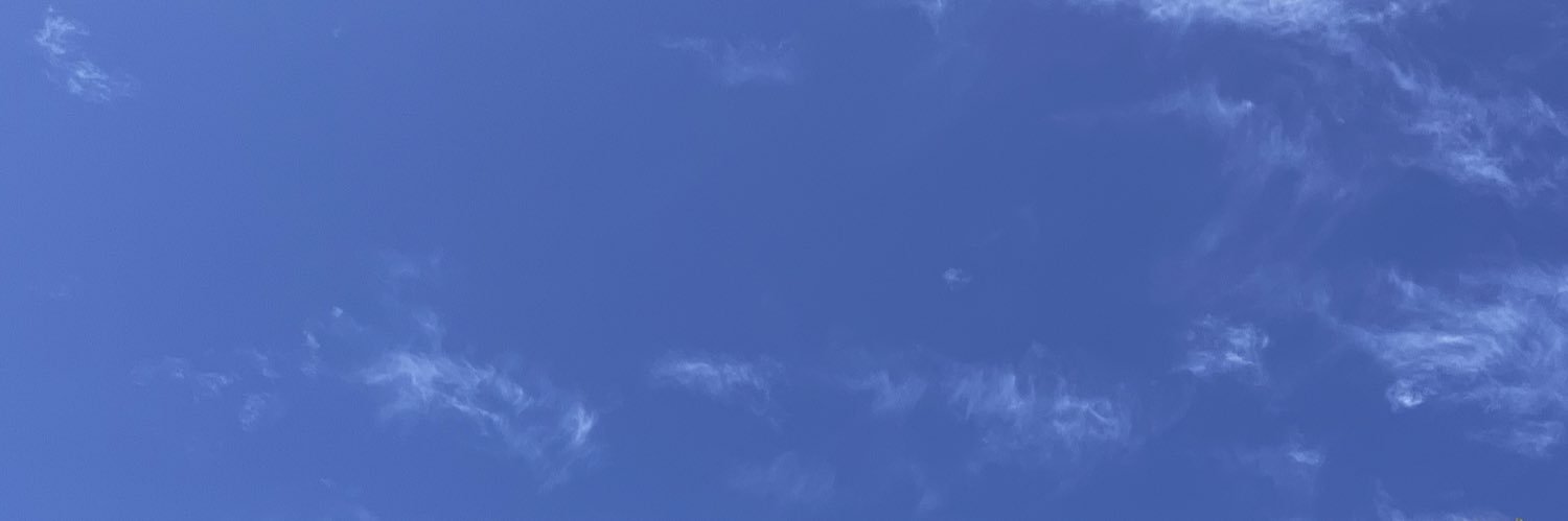 martugomez1's profile banner image
