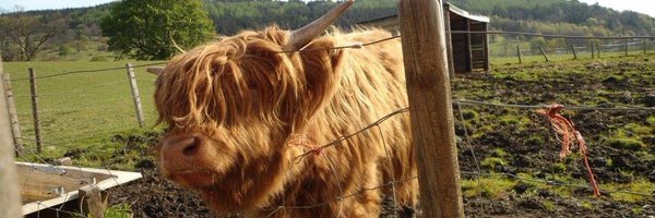 Tanushhhh Profile Banner