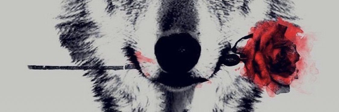 LoweMaceo's profile banner image