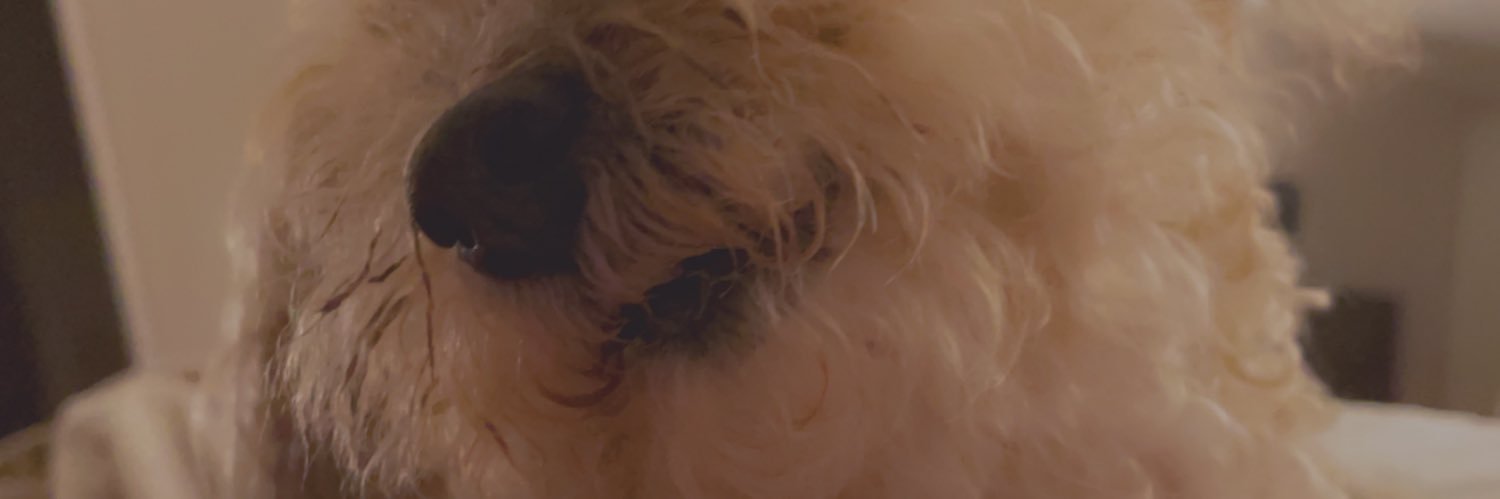 sosammyyy's profile banner image