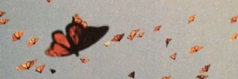 quigleygrace_'s profile banner image