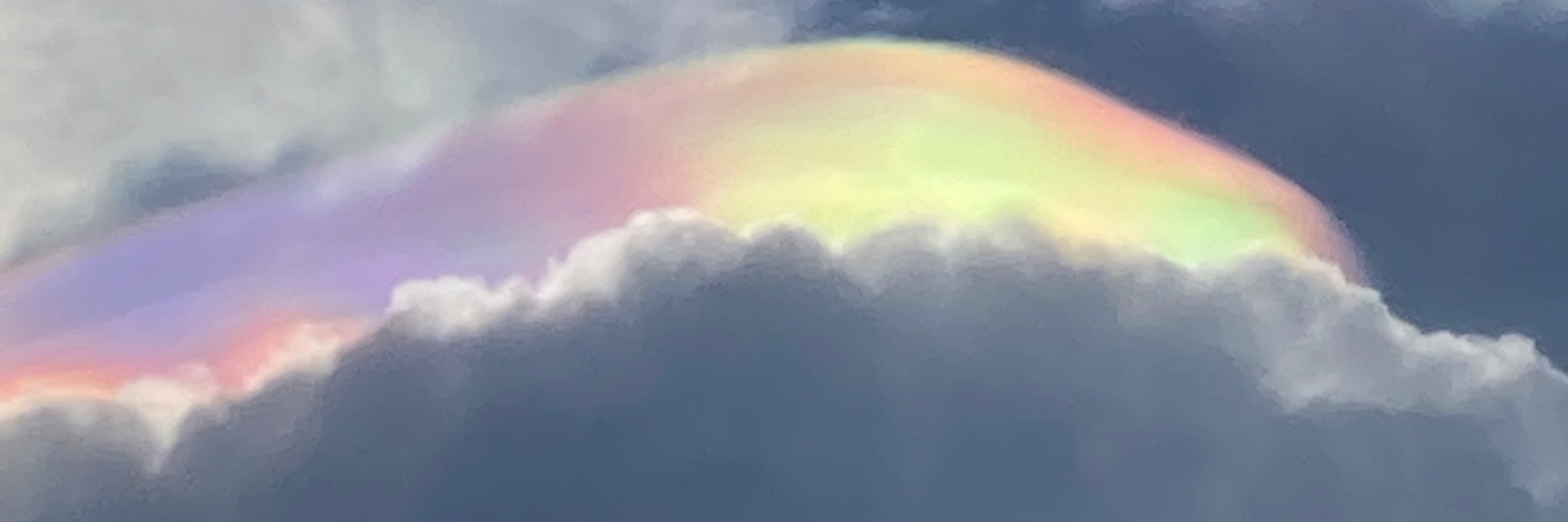 Christopher Taylor ammocrypta.bsky.social banner