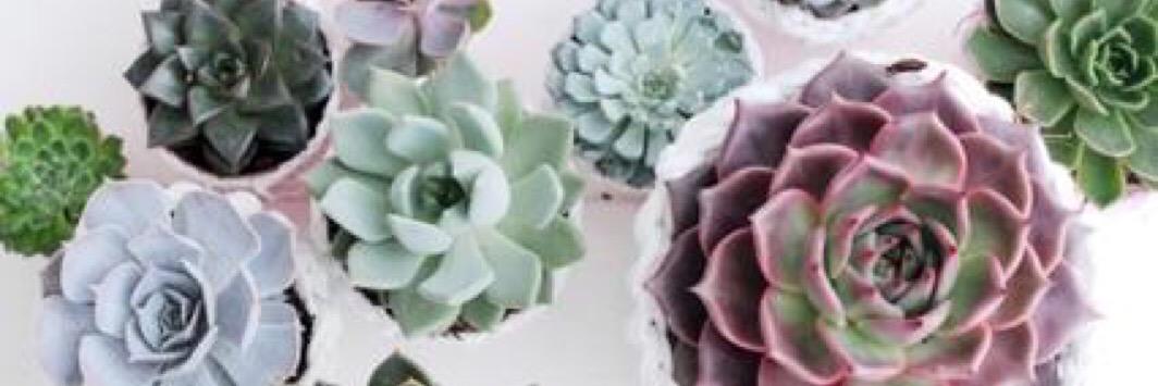 AlarconConchi's profile banner image