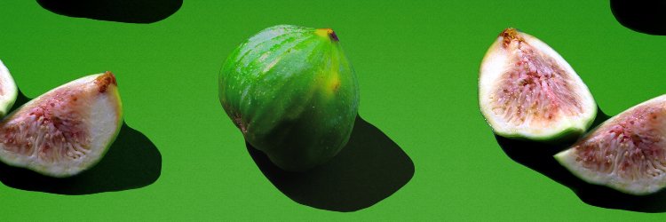 Wieke van der Vossen banner