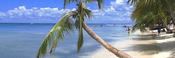CristalMatinez3's profile banner image