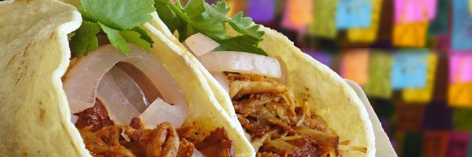 CatrinaTacos's profile banner image