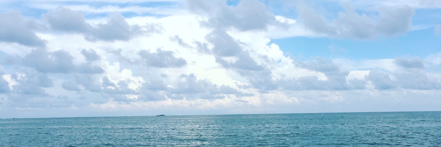 Janice McDavid banner