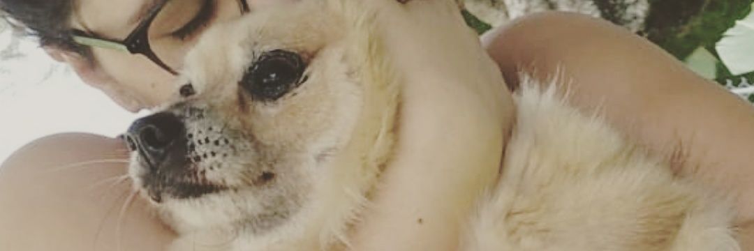 NormalCory's profile banner image