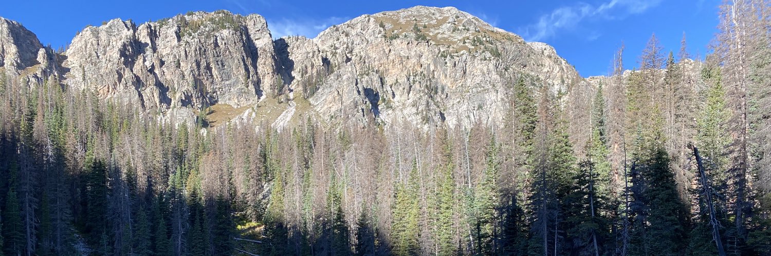 MrHunterSims's profile banner image