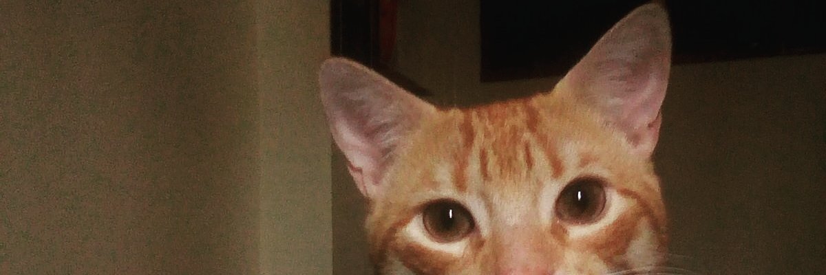 Fergoblack's profile banner image