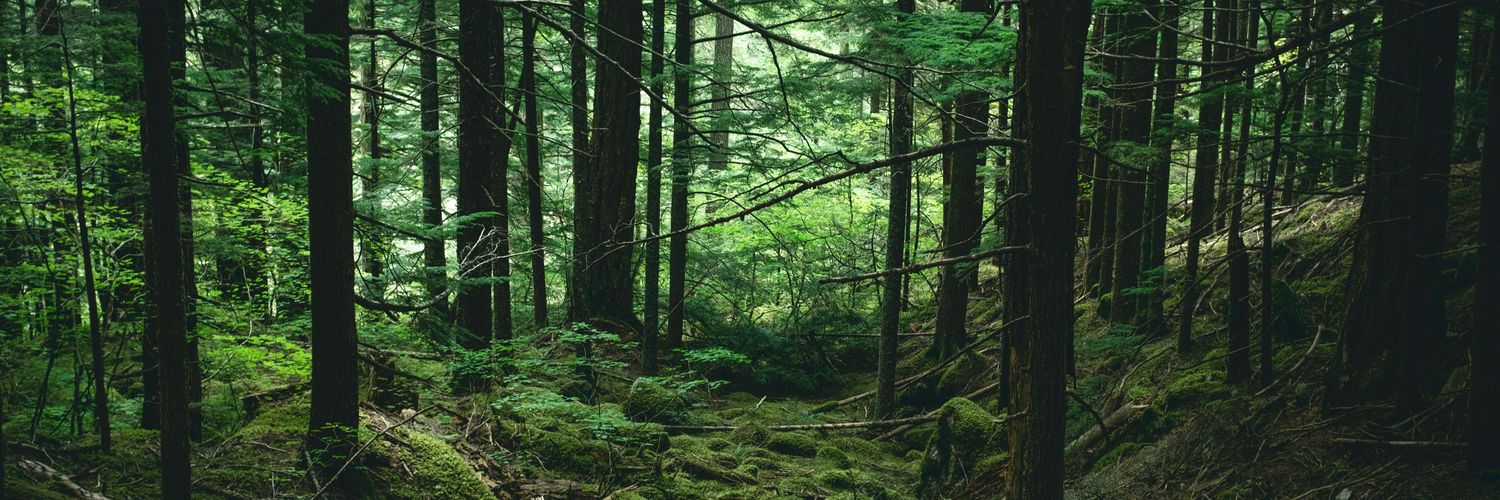 RaiinyGames ✝ banner