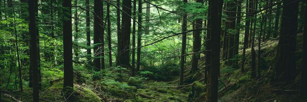 RaiinyGames Profile Banner