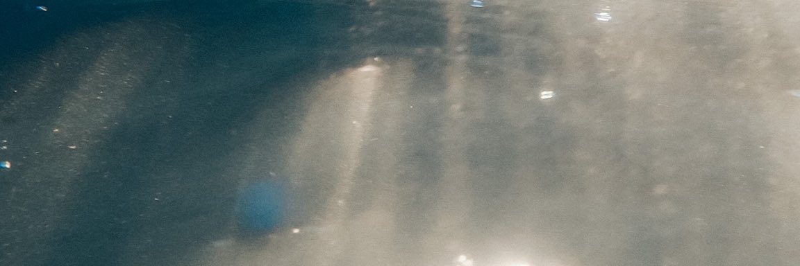 Wandering Flame banner