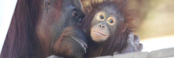 TopekaZoo Profile Banner