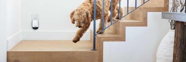 whiskerlabs Profile Banner