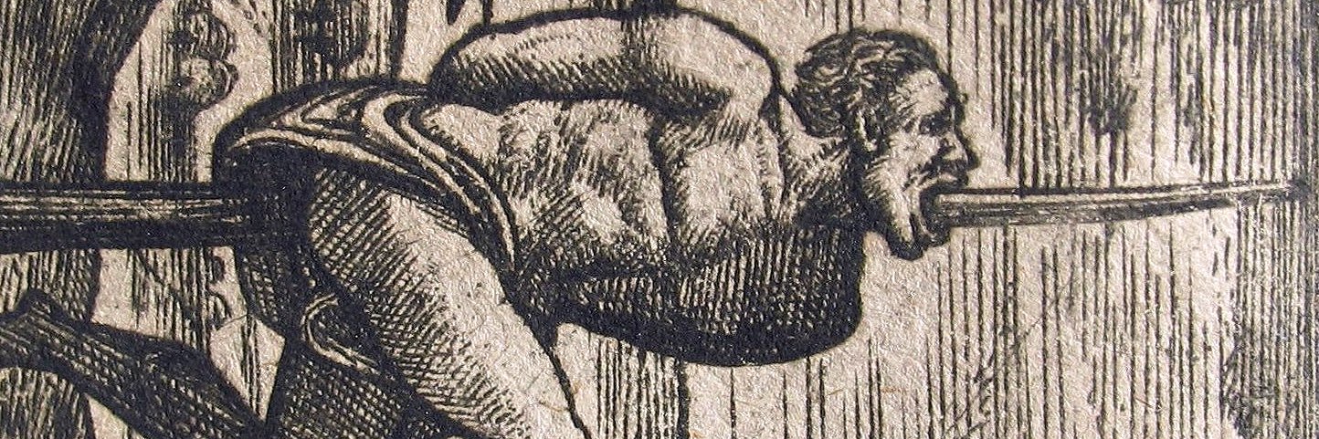 𝖘𝖍𝖆𝖓𝖊 𝖑𝖎𝖟𝖆𝖗𝖉 𓂺 banner