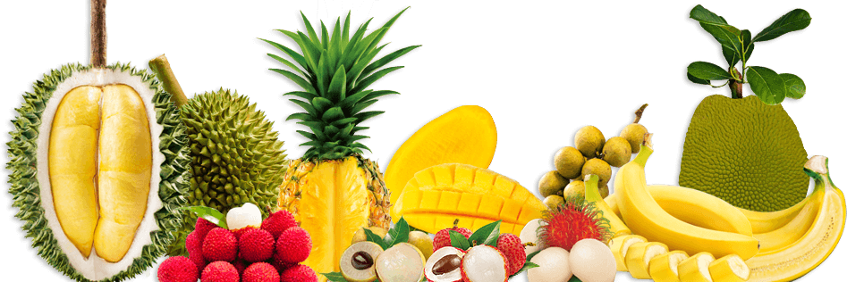 HappyJuiceEU's profile banner image