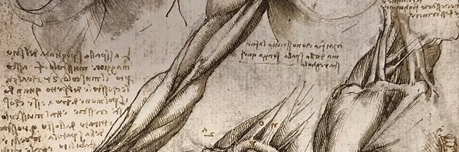 neticrebl's profile banner image