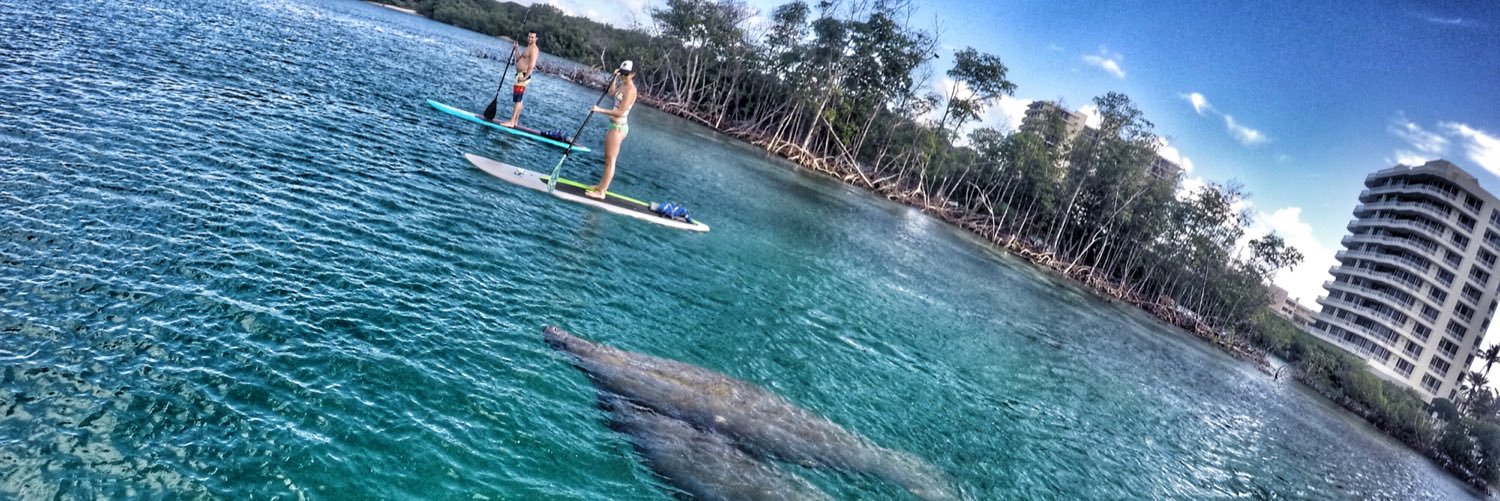 SouthFlPaddle's profile banner image
