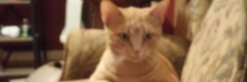 uhhh_Johnathan's profile banner image