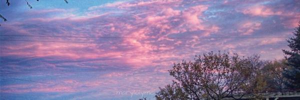 Maryloly Profile Banner