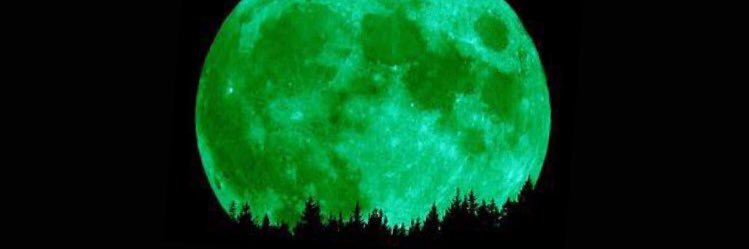 dracogreenn's profile banner image