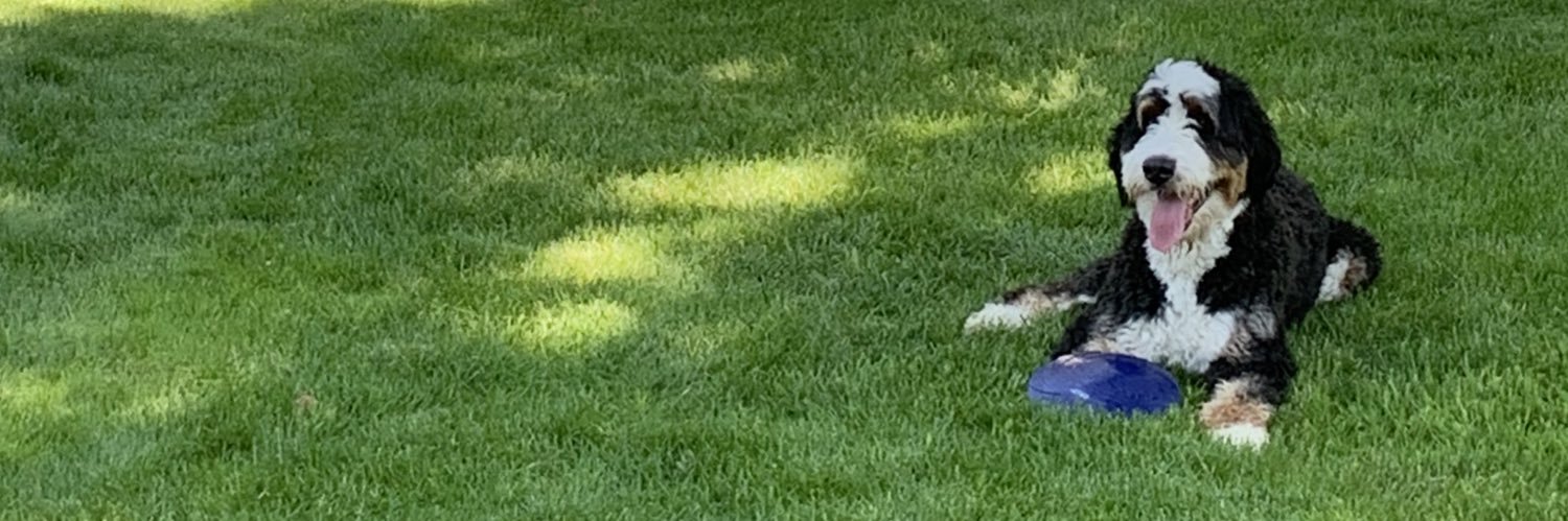 DevinRamos_'s profile banner image