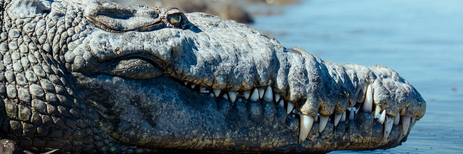 XANDER GEOGRAPHIC 🏕️ banner