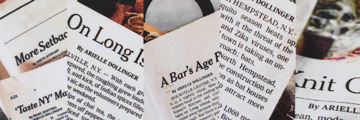 aridollinger's profile banner image