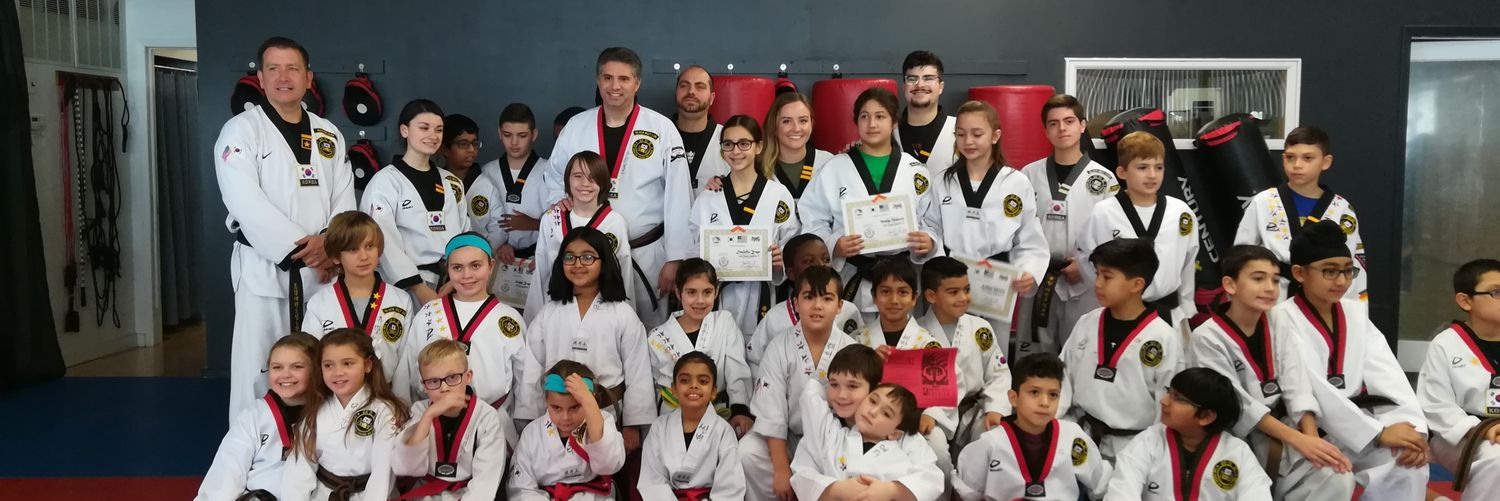 Kyosanim Mark Taekwondo banner