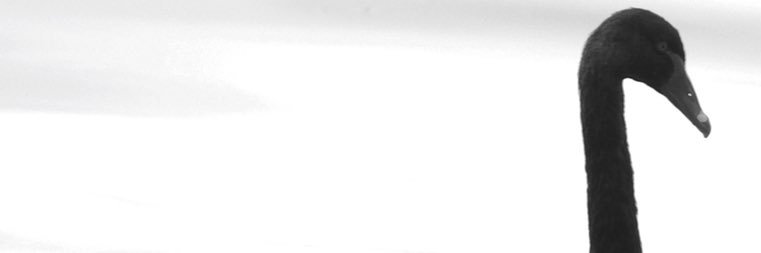 SPNTech32's profile banner image