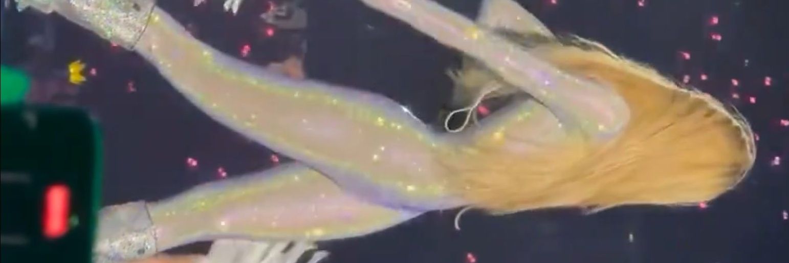ana banner