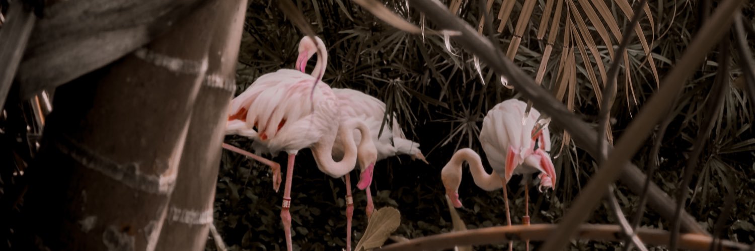 KuuurtRussell's profile banner image