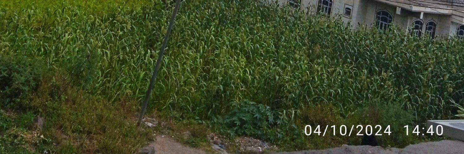 6mcl_'s profile banner image