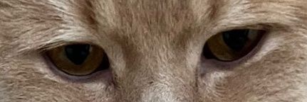 yossmm's profile banner image