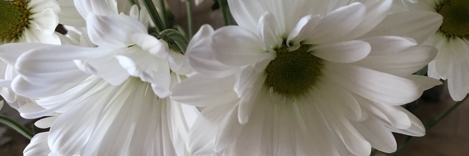 shayleagbrown's profile banner image