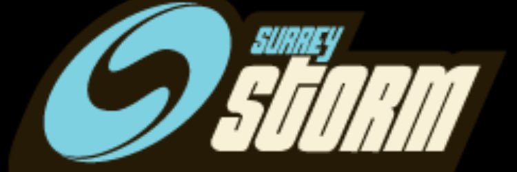 NetballBarbie's profile banner image