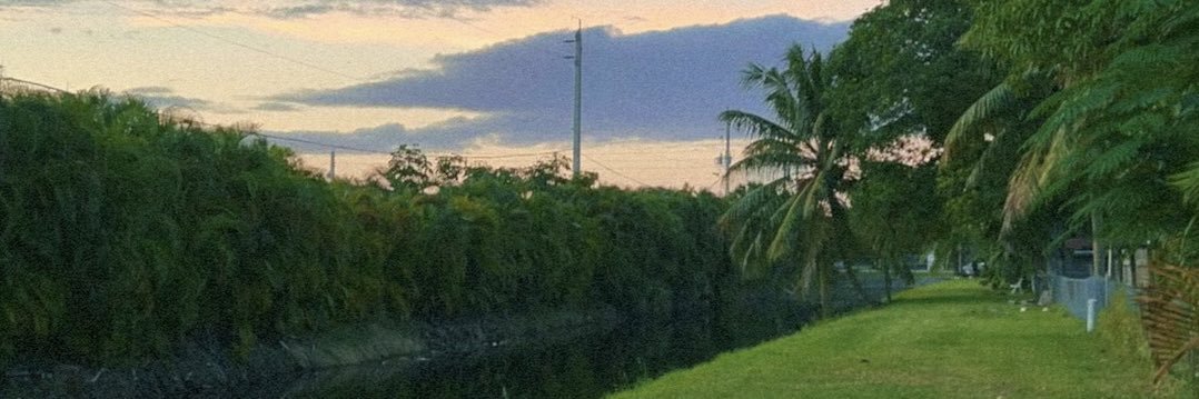 jerziefinstad's profile banner image