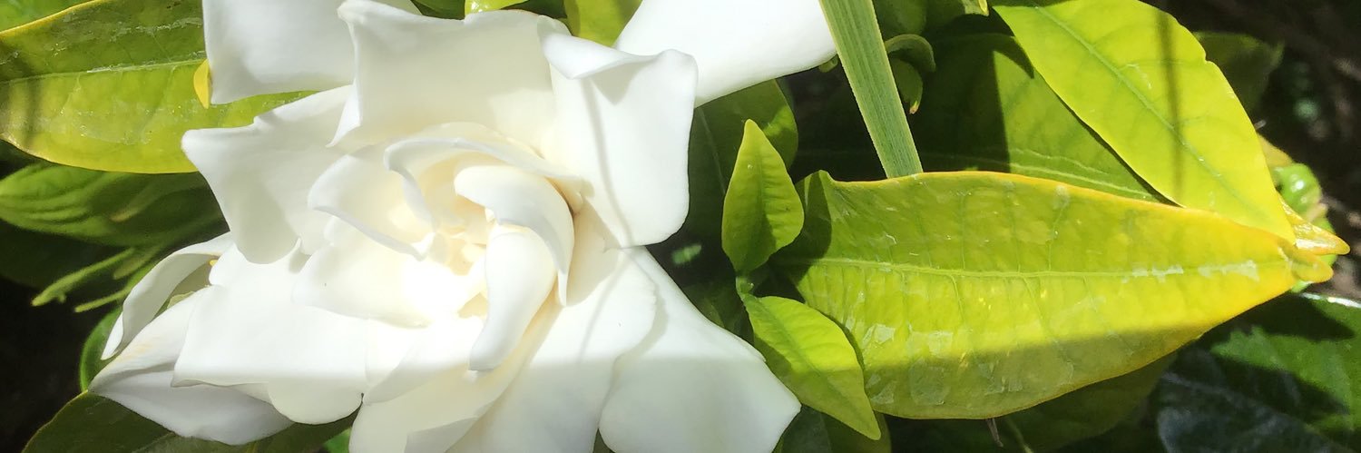 kvj59's profile banner image