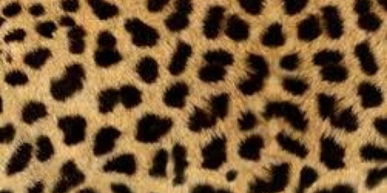 SuperBadddddd's profile banner image